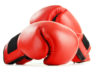 Global Boxing Equipment Market