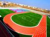 great sports infra