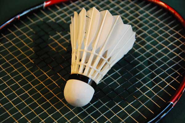 international badminton shuttlecock