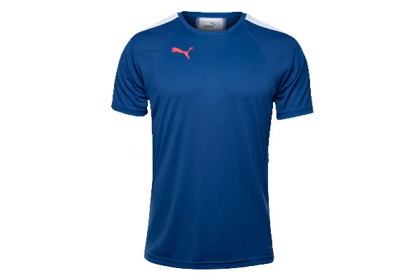 Puma-IT evoTRG Training Tee