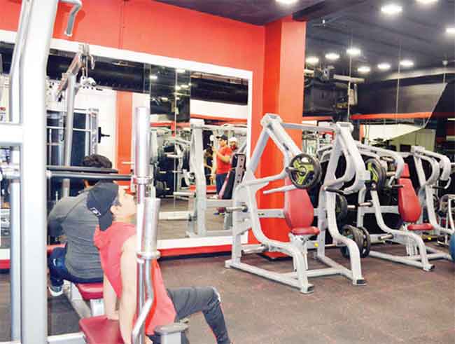 Gulati gym equipment hot sale