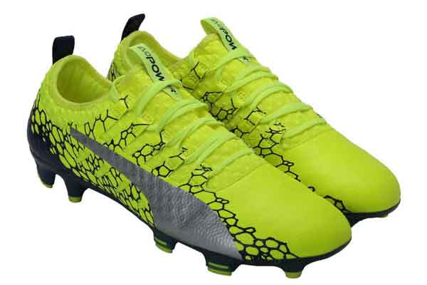 Puma evoPower