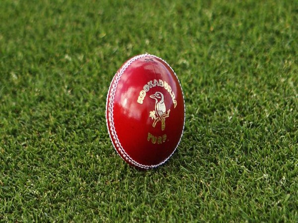 Kookaburra red Turf ball (Photo/Cricket Australia Twitter)