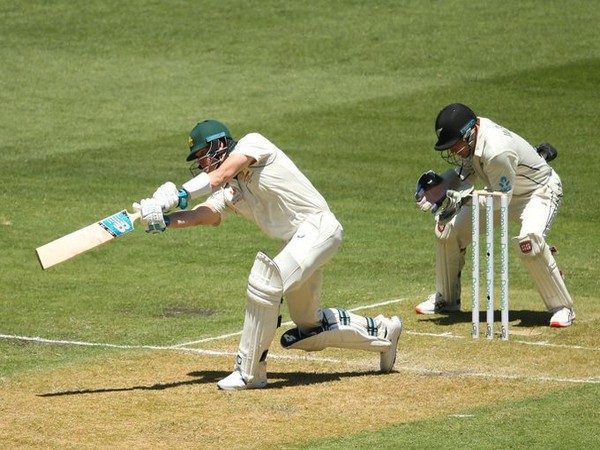 Australia's Steve Smith in action against New Zealand (Photo/ cricket.com.au Twitter)