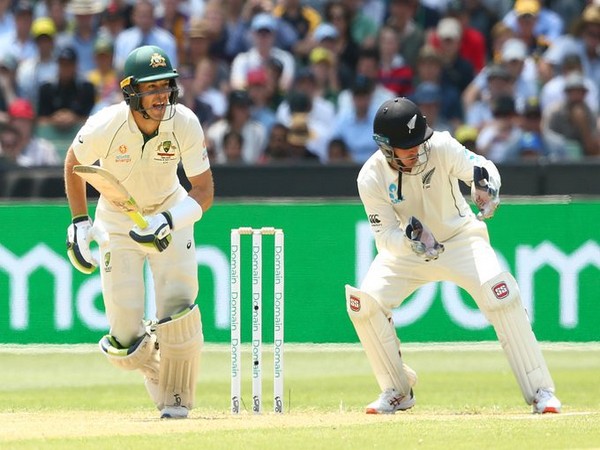 Australia skipper Tim Paine in action against New Zealand (Photo/ cricket.com.au Twitter)