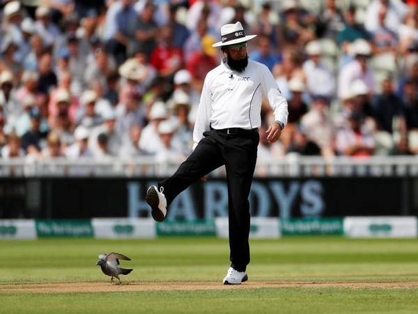 Umpire Aleem Dar 