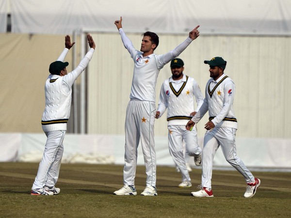 Pakistani players celebrating after picking up a wicket. (Photo/Pakistan Cricket Twitter) 