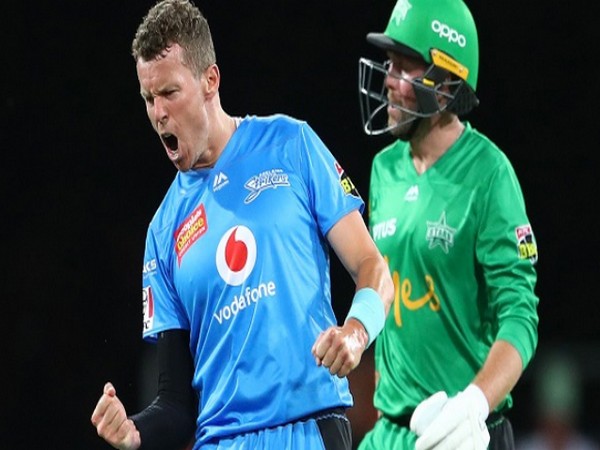 Peter Siddle Image: cricket.com.au's Twitter