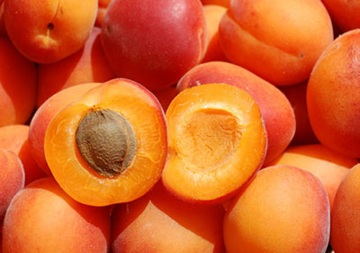 Apricots