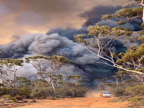 Australia bushfires (Photo/ Yuvraj Singh Twitter)
