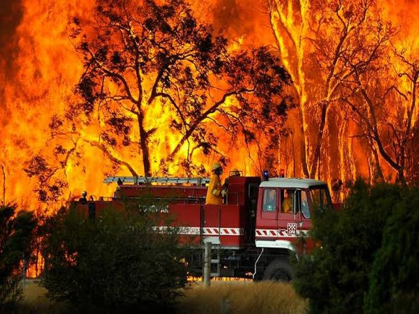 Firefighters dousing the flames in Australia. (Photo/Chris Lynn Twitter)