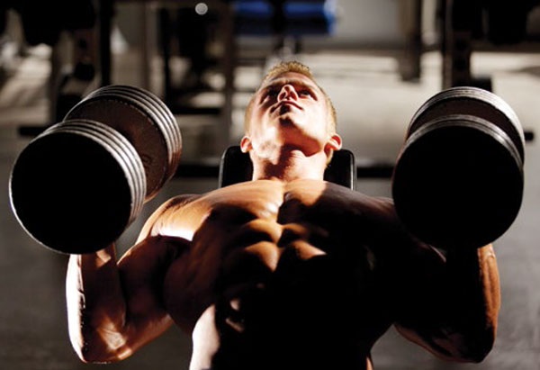 Chest Press with Dumbbells