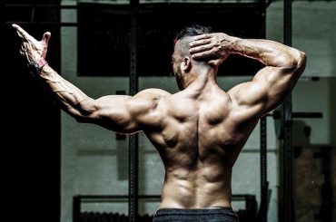 back muscle