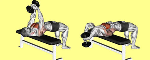 Dumbbell Pull-Over