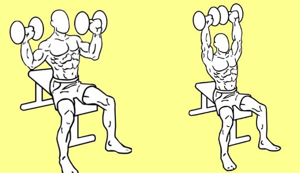 Seated Shoulder Press