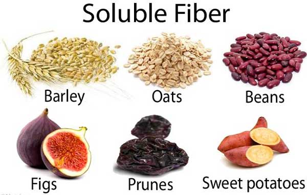 Soluble fiber fat burner