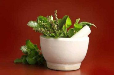 Tulsi Leaves