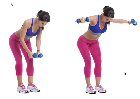 Bent-Over Dumbbell Lateral Raise