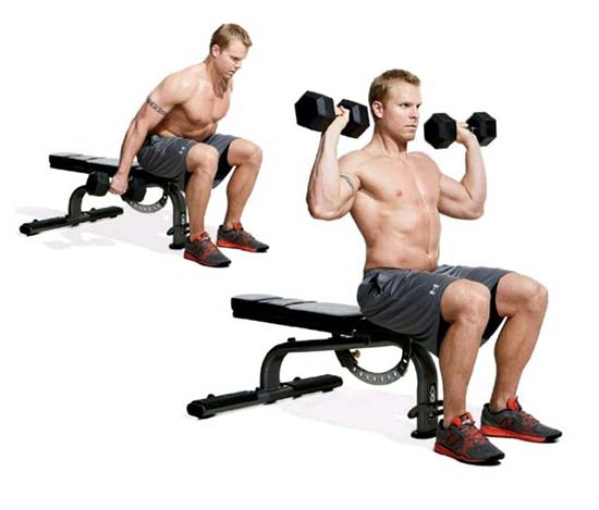 Seated Dumbbell Clean