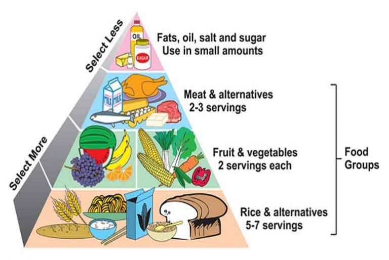 proper-and-balanced-diet-helps-lose-weight-and-improves-overall-health