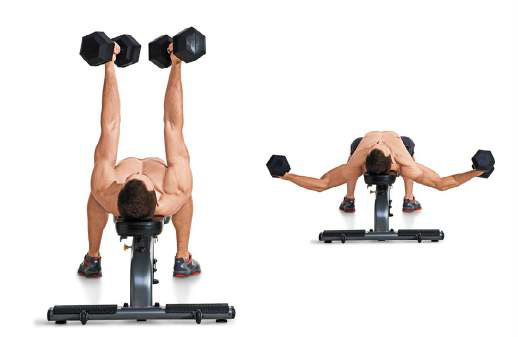 Dumbbell and chest 