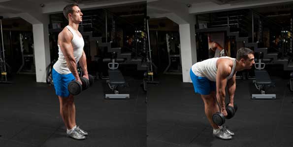 Dumbbell Stiff-Legged Deadlift