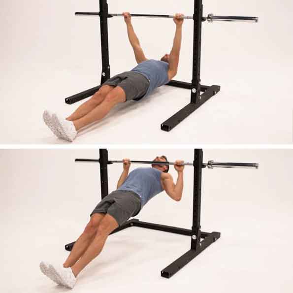 Inverted Row