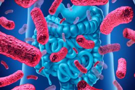 Probiotic foods Feature Image