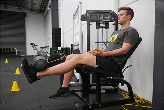 knee strengthening exercises