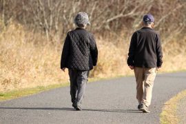 Study Reveals Walking Enhances Brain Connectivity and Memory in Older Adults