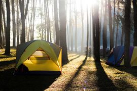 Join the Great American Campout: Go Green, Keep It Clean