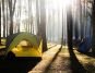 Join the Great American Campout: Go Green, Keep It Clean