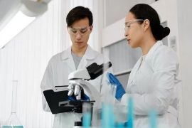 Balancing Bone Health and Protein Intake: Study Supports Safe Transition from Red Meat to Legumes