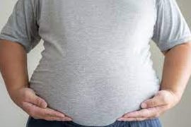 New Research Reveals Larger 'Appetite Control Center' in the Brains of Overweight Individuals