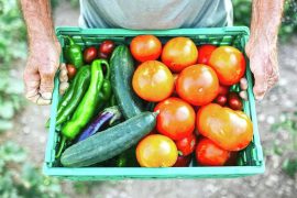 Stay Cool and Refreshed: Hydrating Foods to Beat the Summer Heat