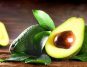 Unveiling the Weight Loss Benefits of Avocados