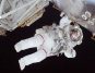 Study Exposes Impact of Space Travel on Astronauts' Immune Systems