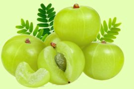 Managing Blood Sugar: Four Ways Amla Benefits People with Diabetes