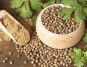 Unlock the Power of Coriander: Learn How to Lower Cholesterol with this Dietary Secret!