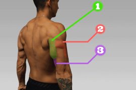 5 Top Exercises for Powerful Triceps