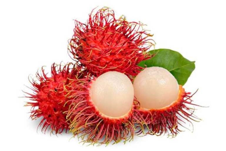 Discover The Remarkable Health Benefits Of Rambutan Fruit