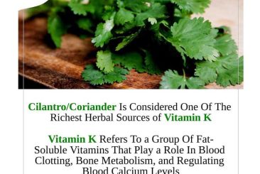facts about coriander