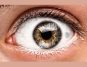 Study Shows Eye Implant as a Potential Breakthrough in Diabetes Treatment