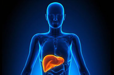 Breakthrough Discovery Unravels the Causes of Liver Cell Scarring