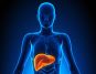 Breakthrough Discovery Unravels the Causes of Liver Cell Scarring