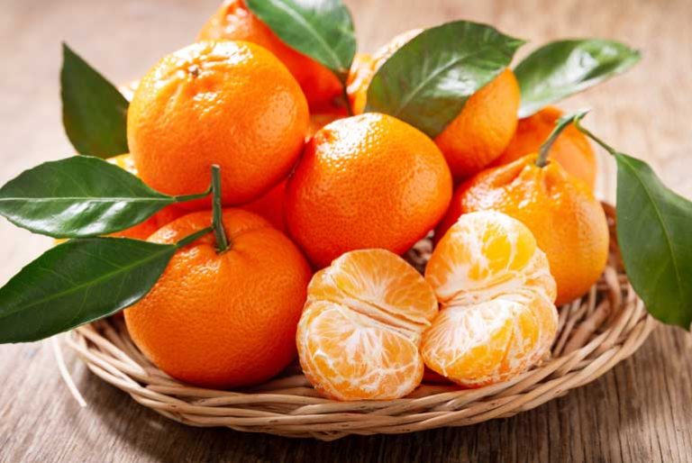 Discover the Nutritional Value of a 100Gram Serving of Mandarin Oranges