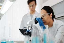 Unraveling the Brain's Rewiring: Researchers Illuminate the Impact of Traumatic Memories