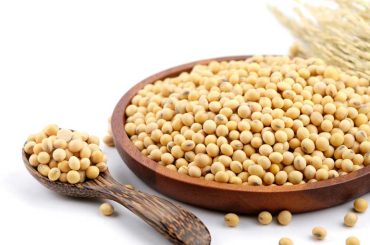 Soy Protein: A Promising Elixir for Radiant Skin - New Clinical Trial Findings