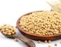 Soy Protein: A Promising Elixir for Radiant Skin - New Clinical Trial Findings