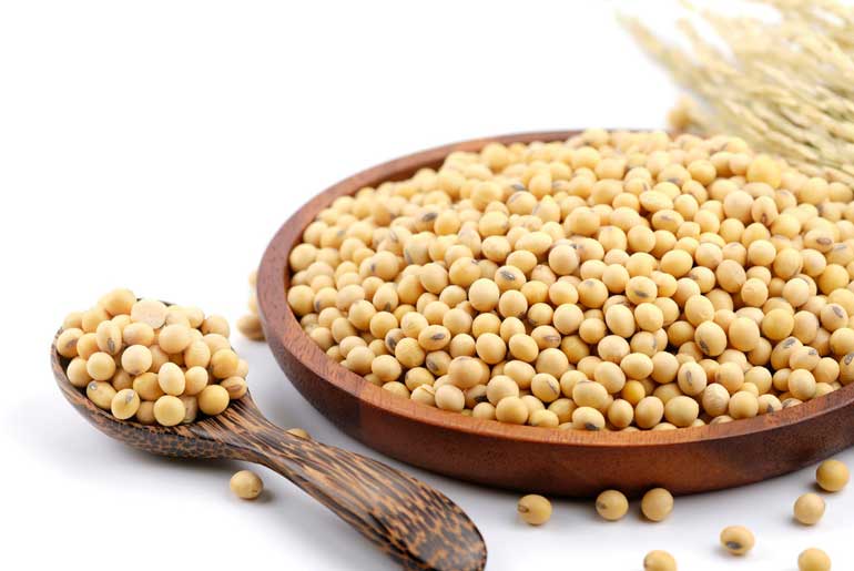 Soy Protein: A Promising Elixir for Radiant Skin - New Clinical Trial ...